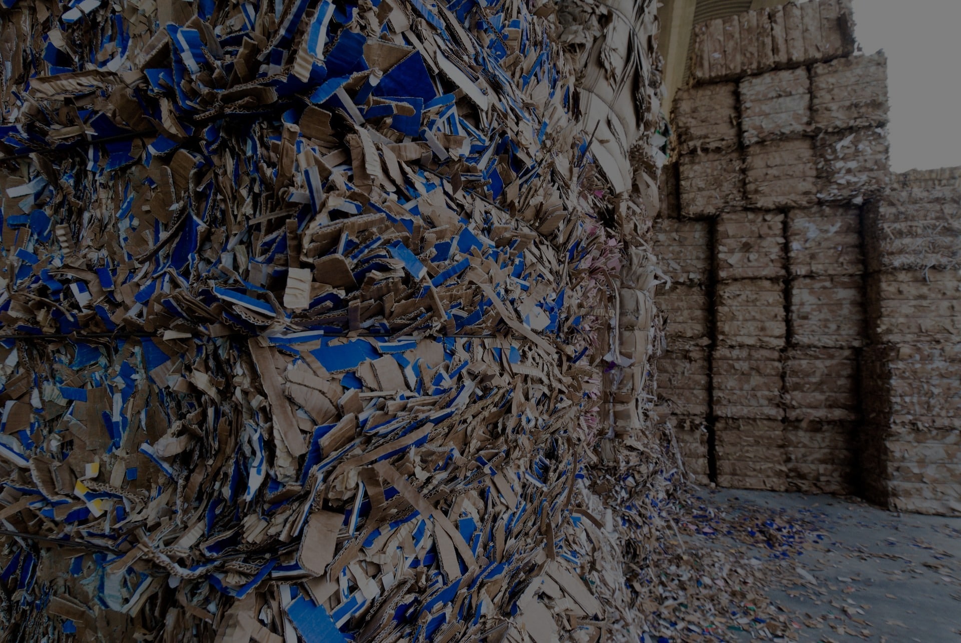 What is the Proper Way to Recycle Paper?