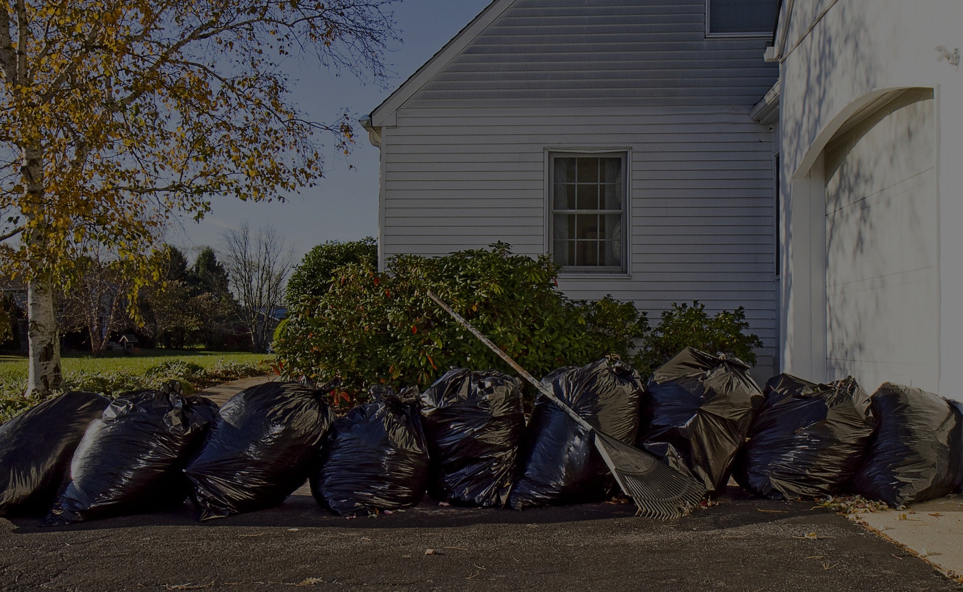 Junk Removal For Yard Debris