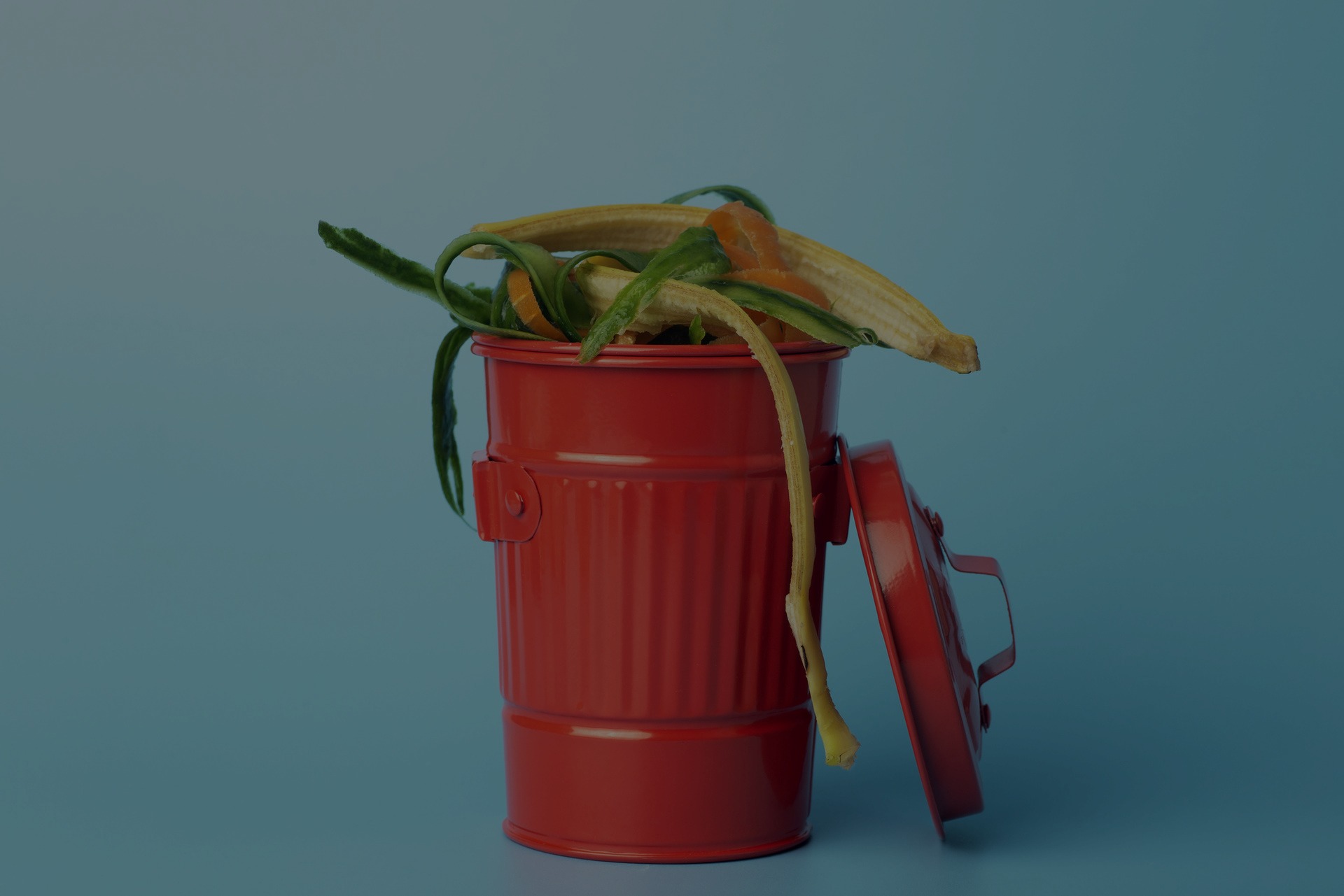 Regulatory Aspects of Food Waste Management in Florida