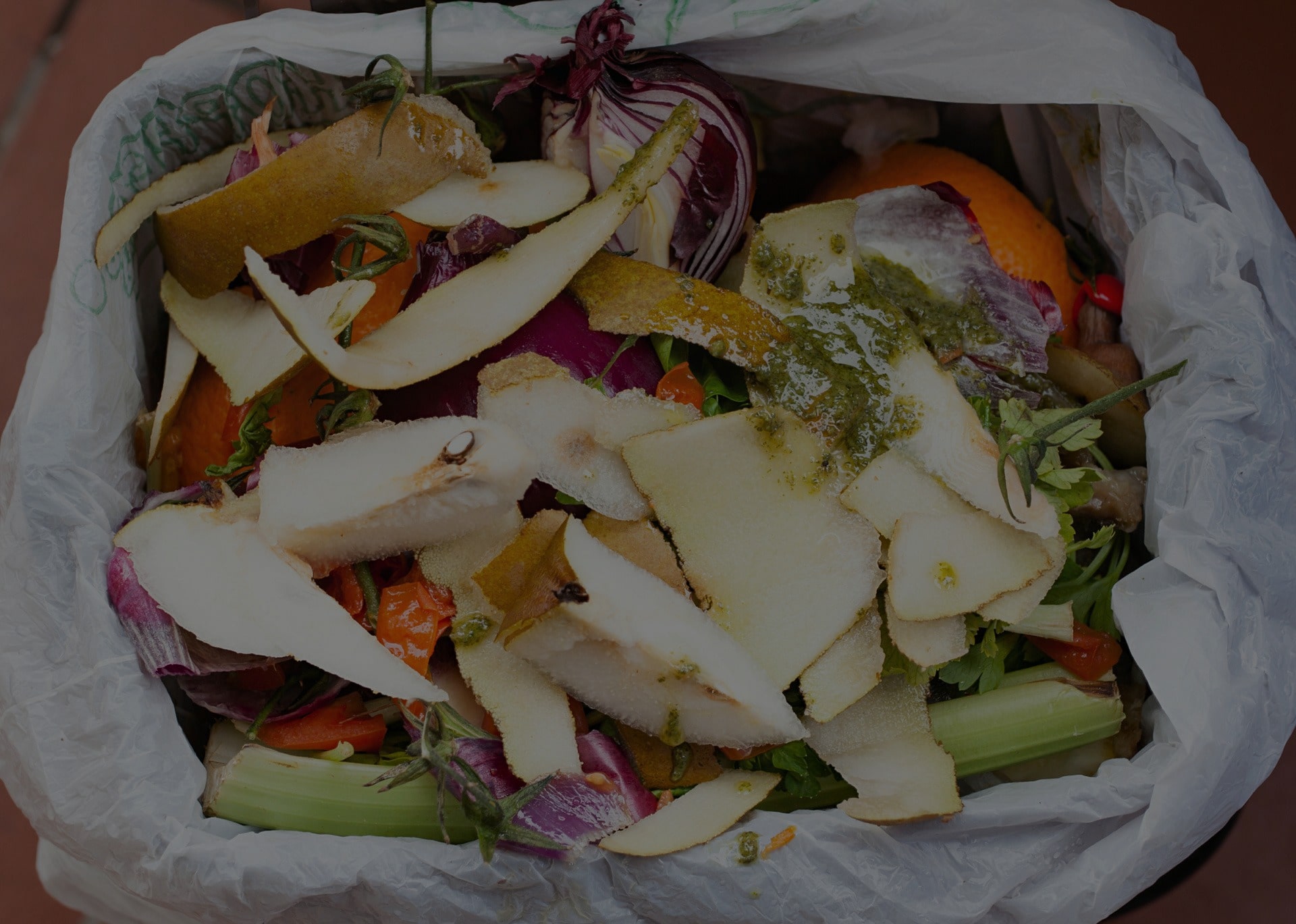 Best Practices for Managing Commercial Food Waste in Florida