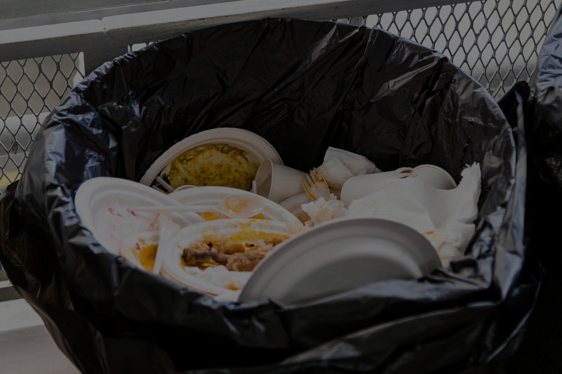 The Role of Restaurants in Tackling Food Waste in Florida